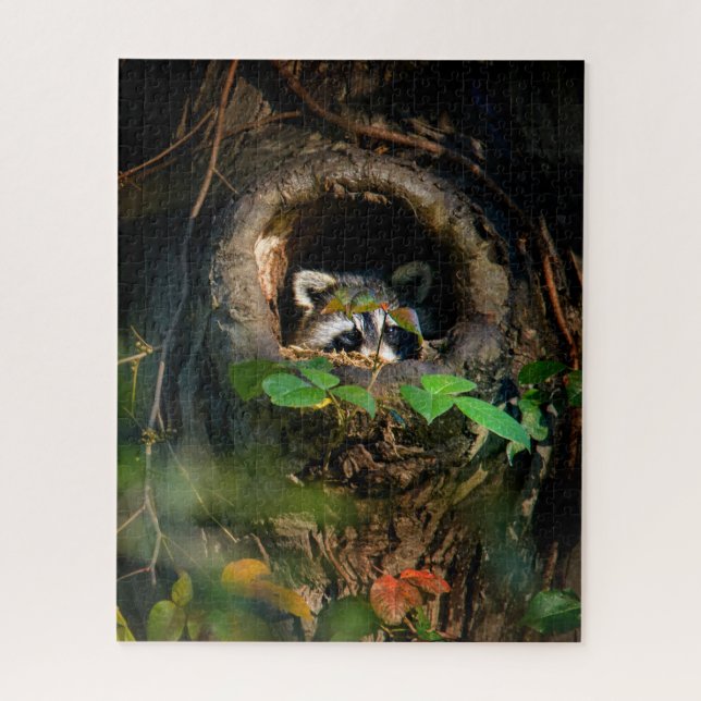 Puzzle Bosques | Raccoon Peeking (Vertical)