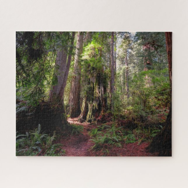 Puzzle Bosques | Redwood Forest California (Horizontal)