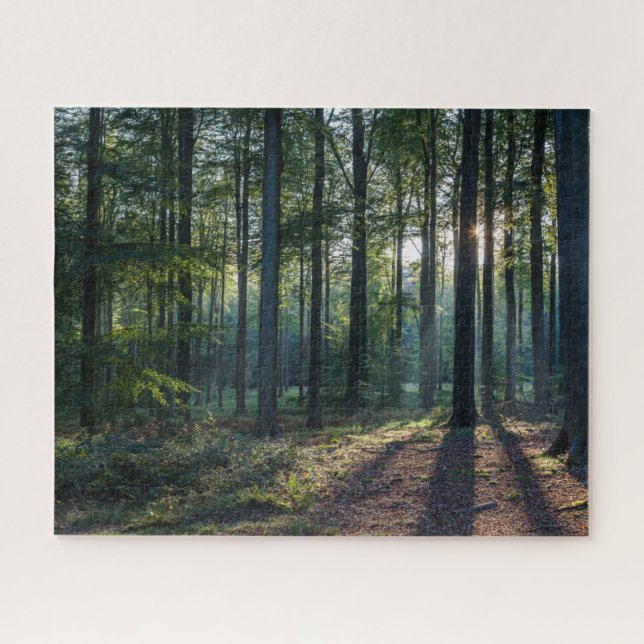 Puzzle Bosques | Selva negra Alemania (Horizontal)