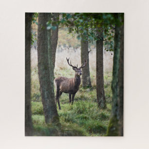 Puzzle Bosques Woodlands & Red Deer