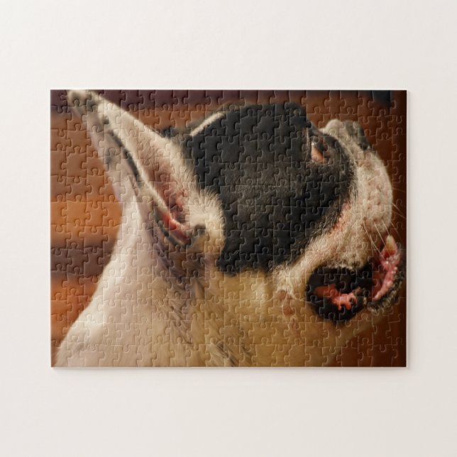 Puzzle Boston Terrier (Horizontal)