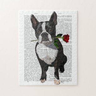 Puzzle Boston Terrier con Rosa en boca
