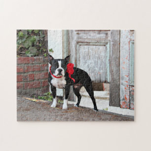 Puzzle Boston Terrier - millas