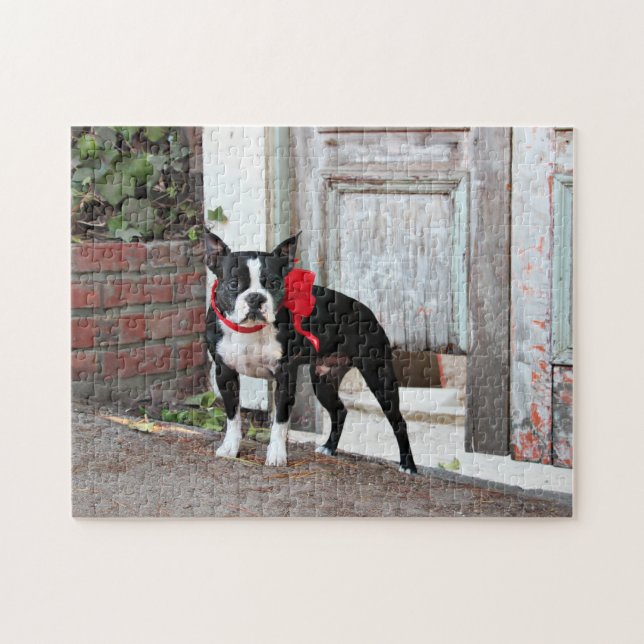 Puzzle Boston Terrier - millas (Horizontal)