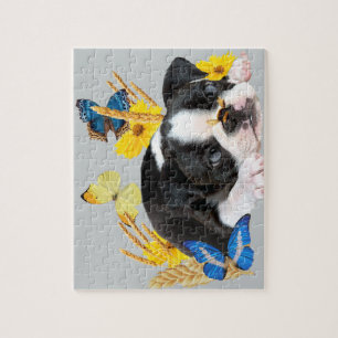 Puzzle Boston Terrier Play Day