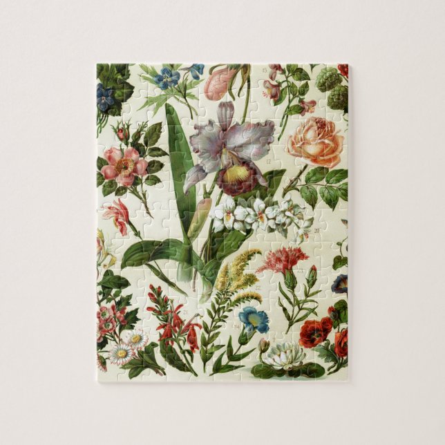 Puzzle Botánicos de flores (Vertical)