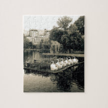 Botes de cisne de Boston en blanco y negro