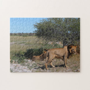 Puzzle Botsuana Central Kalahari Viajes de Savannah