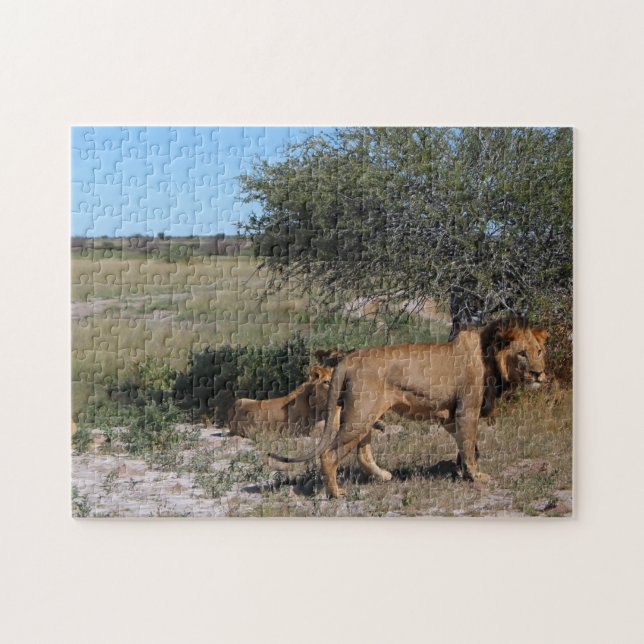 Puzzle Botsuana Central Kalahari Viajes de Savannah (Horizontal)