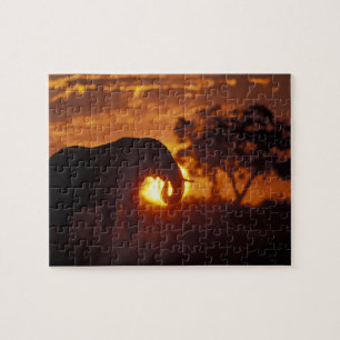 Puzzle Botswana, Parque Nacional Chobe, Elefante macho