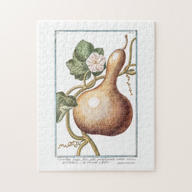 Puzzle Bottle Gourd by Giorgio Bonelli (Vertical)