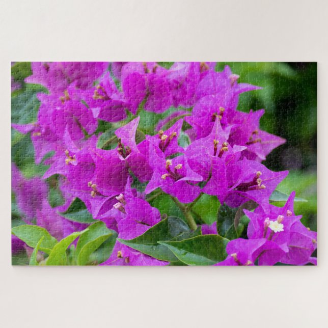 Puzzle Bougainvillea Colorful Floral (Horizontal)