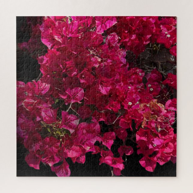 Puzzle Bougainvillea Red Tropical Vining Shrub Foto (Vertical)
