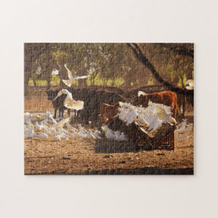 Puzzle Bovino y Cockatoos en el Bush australiano