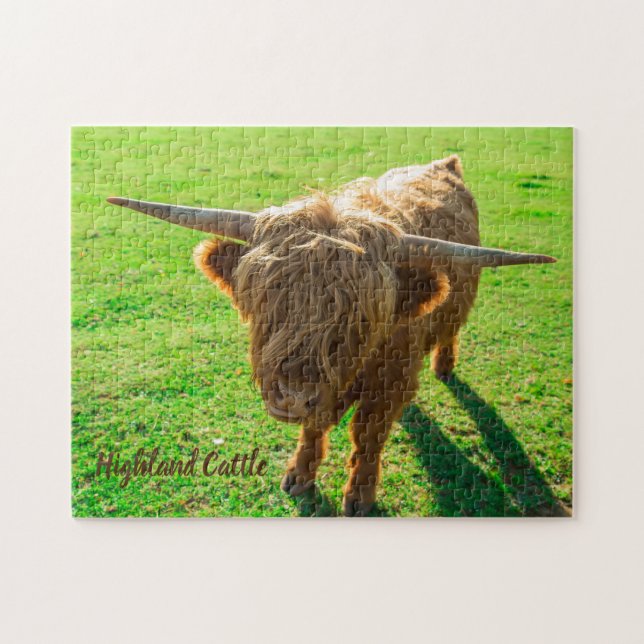 Puzzle Bovinos de la región ganadera para animales y gana (Horizontal)