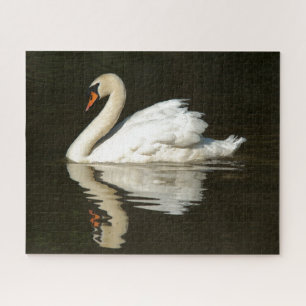Puzzle Bozal de cisne silvestre, bozal de jigsaw