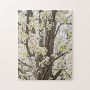 Puzzle Bradford Pear Tree White Spring Flour Nature