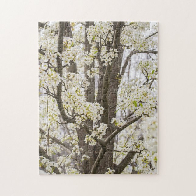 Puzzle Bradford Pear Tree White Spring Flour Nature (Vertical)