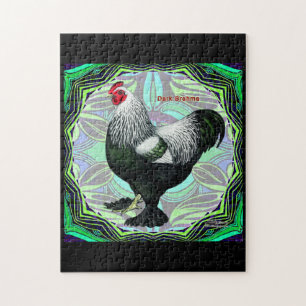 Puzzle Brahma: Fancy Dark Rooster