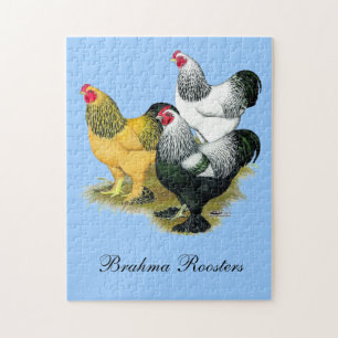 Puzzle Brahmas Tres Roosters
