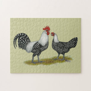 Puzzle Brakel Chickens