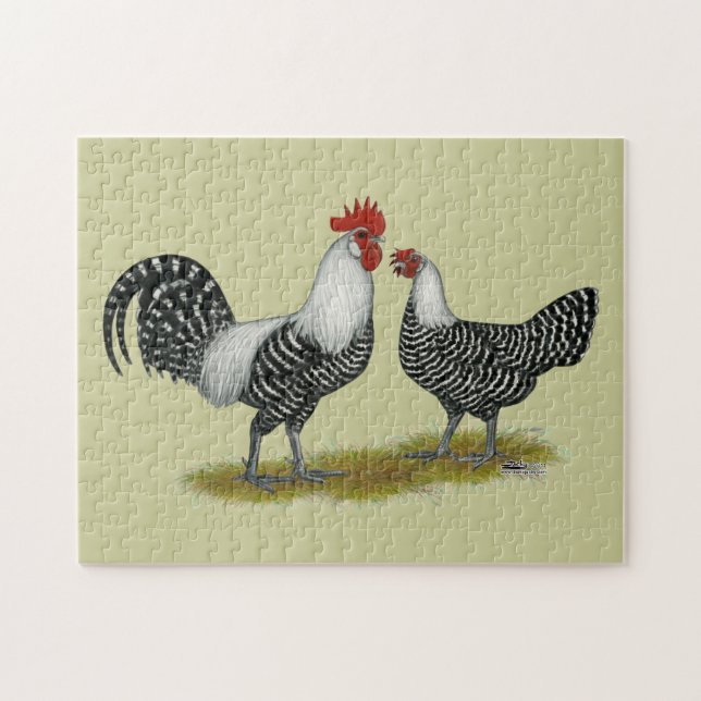 Puzzle Brakel Chickens (Horizontal)