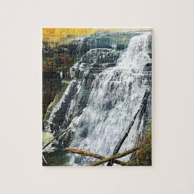 Puzzle Brandywine baja parque nacional Ohio de Cuyahogo (Vertical)