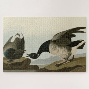 Puzzle Brant Goose (Brant) de Audubon Birds of America