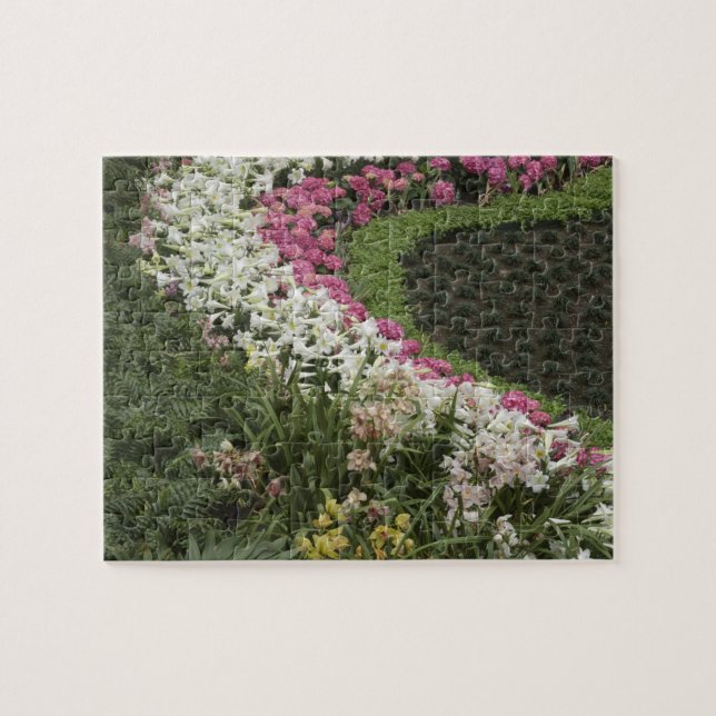 Puzzle Brezo Rhododendron (Rhododendron catawbiense) (Horizontal)