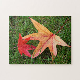 Puzzle Brightly Colorful Maple Leaf