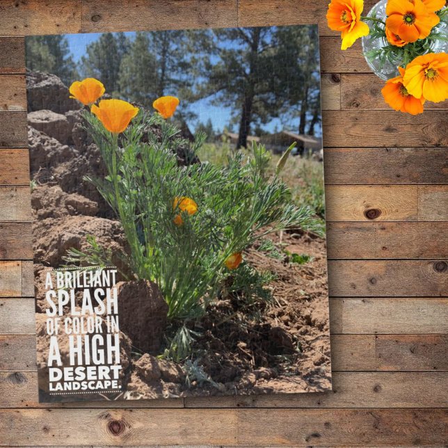 Puzzle Brillante California Poppies Close-Up Photograph (Subido por el creador)