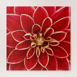 Puzzle Brillante Red Dahlia Closeup