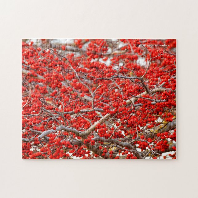 Puzzle Brillante Red Winterberries Holly Tree Berries (Horizontal)
