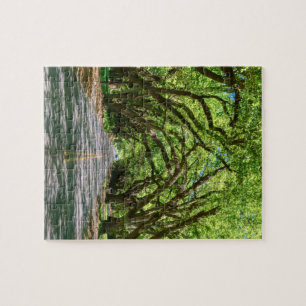 Puzzle Brillo verde de la frontera sur