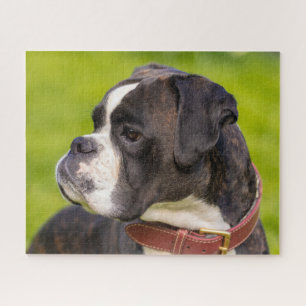 Puzzle Brindle Boxer Puppy Dog