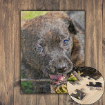Puzzle Brindle Cuppy Chicle en Twig<br><div class="desc">Un cachorro romano pequeño y romano está masticando un pedazo de madera que encontró en una fresca mañana de marzo. El armario muestra su cara feliz. Si te gustan los cachorros, nuestro "mordedura de cachorros en el rompecabezas de peluche" es perfecto para ti. Envuelve tu rompecabezas completado y cuélguelo en...</div>