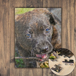 Puzzle Brindle Cuppy Chicle en Twig