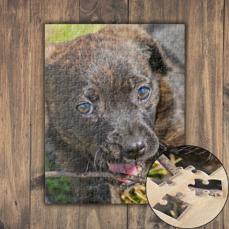 Puzzle Brindle Cuppy Chicle en Twig