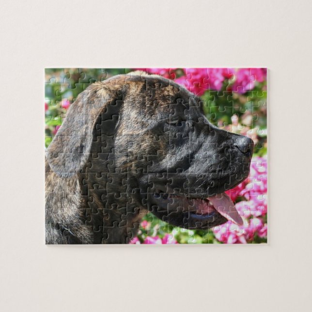 Puzzle Brindle Mastiff Dog (Horizontal)