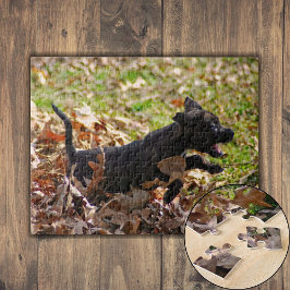 Puzzle Brindle Puppy Corre Por Hojas