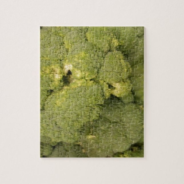 Puzzle Broccoli (Vertical)