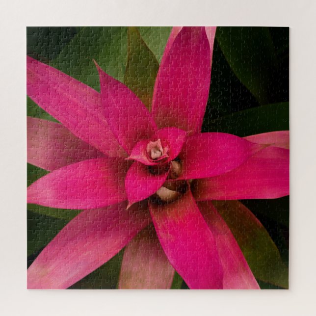 Puzzle Bromeliad en flor (Vertical)