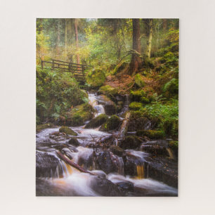 Puzzle Brook de Woodland Waterfall