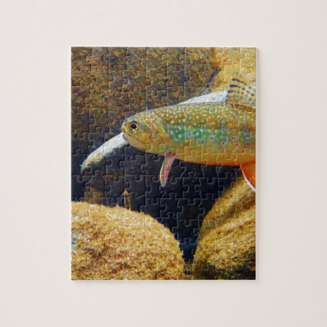 Puzzle Brook Trout (Vertical)