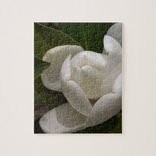 Puzzle brote de flor blanco de la magnolia meridional (Vertical)