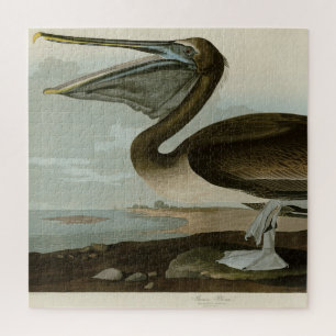 Puzzle Brown Pelican de los pájaros de América de Audubon