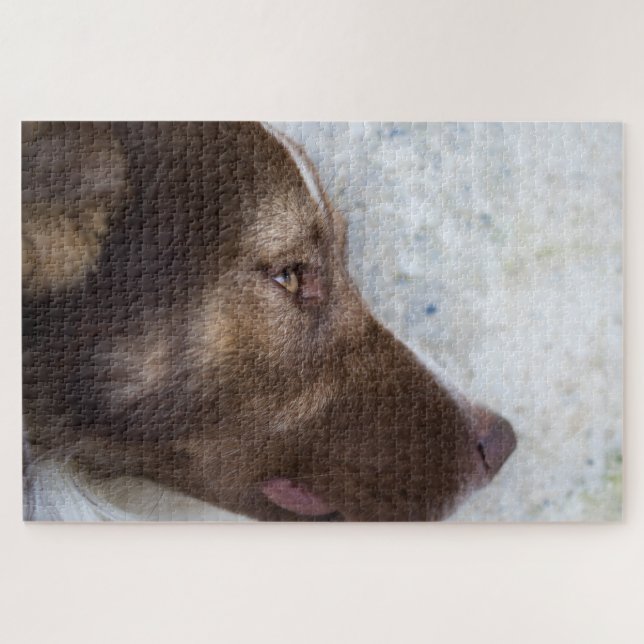 Puzzle Browny (Horizontal)