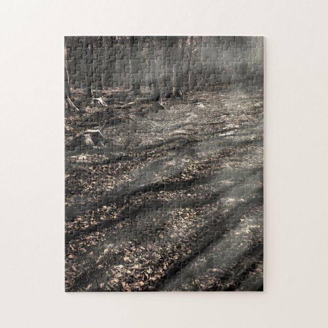 Puzzle Bruja de Blair….¡allí! (Vertical)