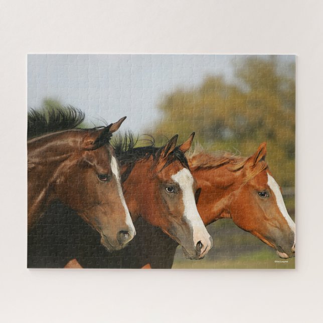 Puzzle BT3 Quarter Horses Corriendo Focos (Horizontal)