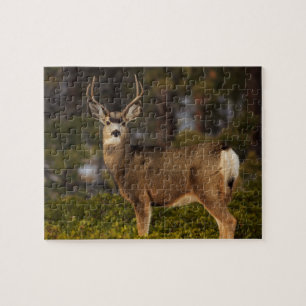 Puzzle Buck de ciervos forestales